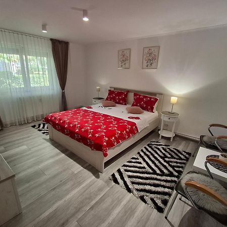Apartament Claudia 德瓦 外观 照片